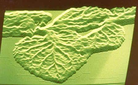 3D reconstruction of a Volckringer pattern