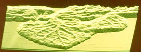 Another angle of the 3D Volckringer reconstruction