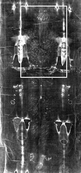 Back imprint - positive image