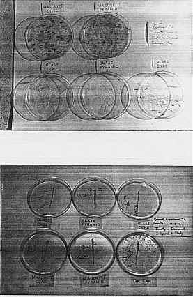 Desmond Experiment Photo C