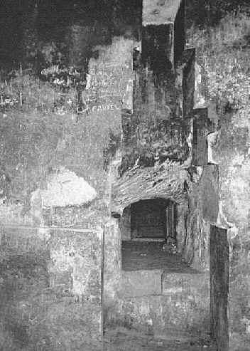 The Niche
