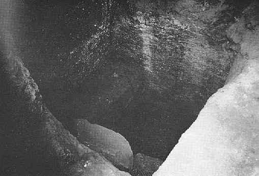 The Pit